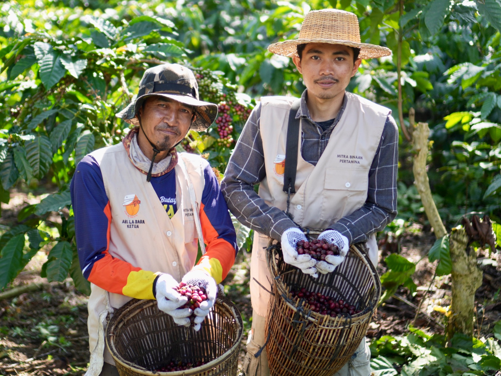 Pertamina Patra Niaga Regional Sumatera Bagian Selatan (Sumbagsel) membina Kopi Petani Kite (Dok. Humas Pertamina Patra Niaga Sumbagsel / Seputarsumatera.com)