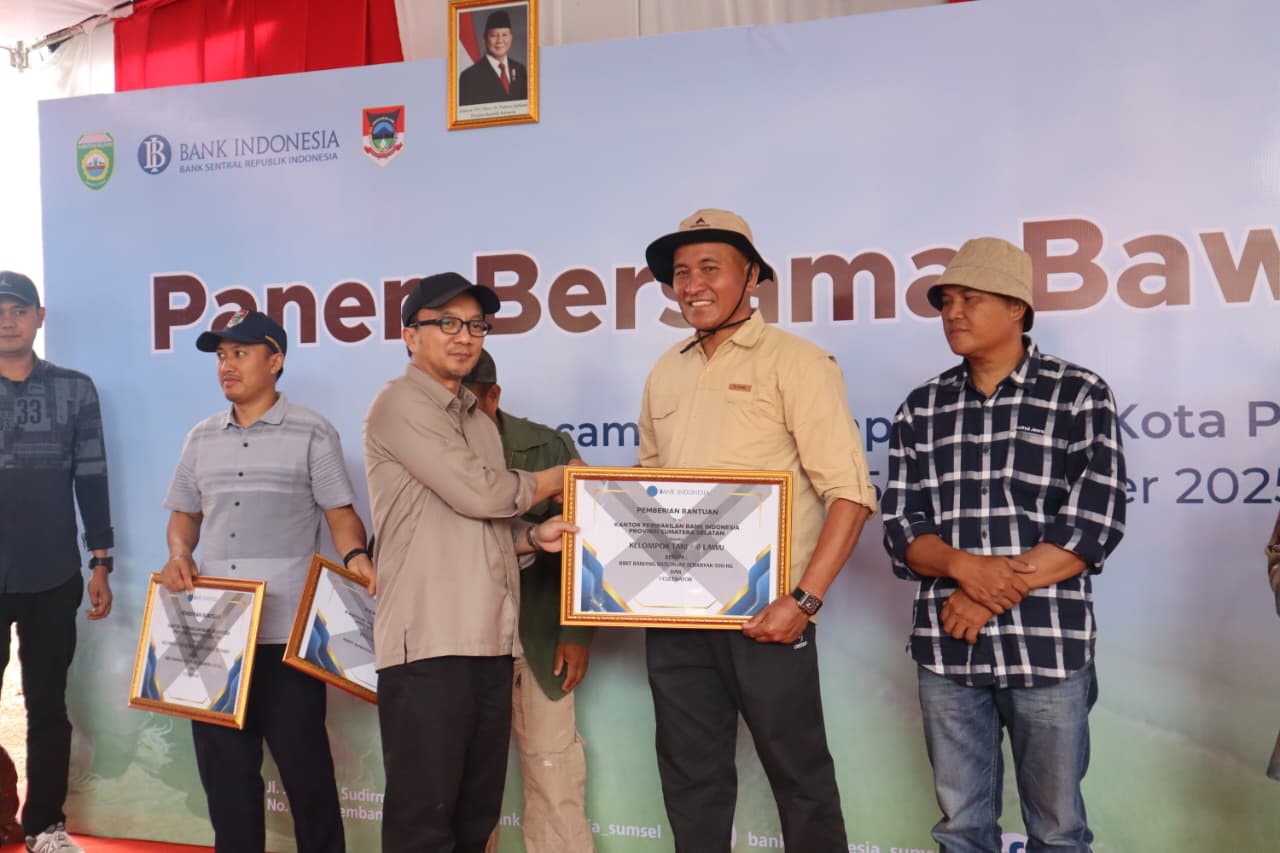 Panen bawang merah, kolaborasi epik Bank Indonesia dengan Pemkot Pagar Alam Sumsel (Dok. Humas Bank Indonesia Sumsel / Seputarsumatera.com)