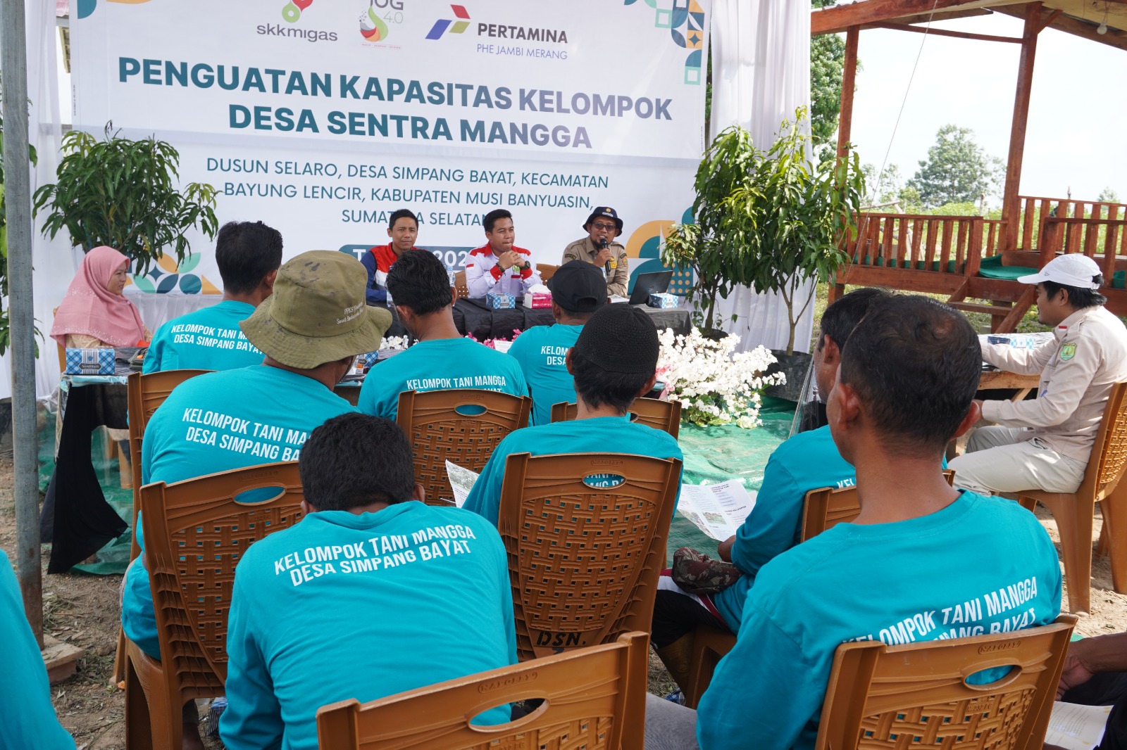 Harapan baru warga Simpang Bayat, dari kebun mangga menuju agrowisata desa (Dok. Humas PHE Jambi Merang / Seputarsumatera.com)