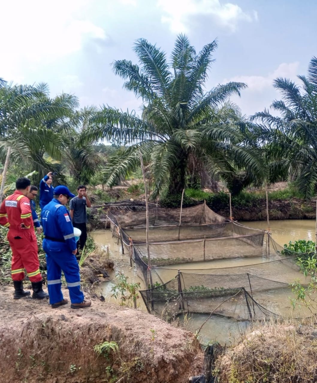 Medco E&P Grissik dukung budidaya lele untuk dorong kemandirian ekonomi masyarakat (Dok. Humas Medco E&P Grissik / Seputarsumatera.com)
