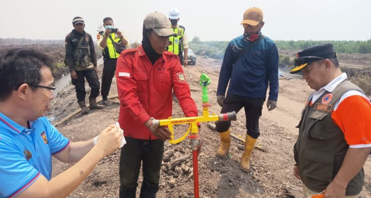 Sambonesia, alat yang diciptakan APP Group berguna untuk penanganan kebakaran di lahan gambut. Di bagian atas ada semprotan air sedangkan bagian bawahnya menusuk ke dalam tanah gambut untuk injeksi air guna pembasahan serta mematikan api yg ada di gambut (Dok. Humas BNPB/ Seputarsumatera.com) Sambonesia, alat yang diciptakan APP Group berguna untuk penanganan kebakaran di lahan gambut. Di bagian atas ada semprotan air sedangkan bagian bawahnya menusuk ke dalam tanah gambut untuk injeksi air guna pembasahan serta mematikan api yg ada di gambut (Dok. Humas BNPB/ Seputarsumatera.com)