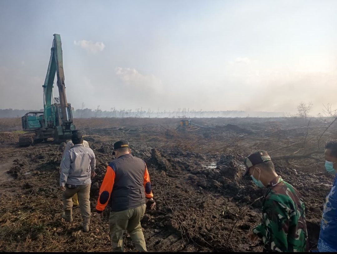 Kondisi kebakaran hutan dan lahan (karhutla) di Kabupaten OKI Sumsel (Dok. Humas BNPB / Seputarsumatera.com)