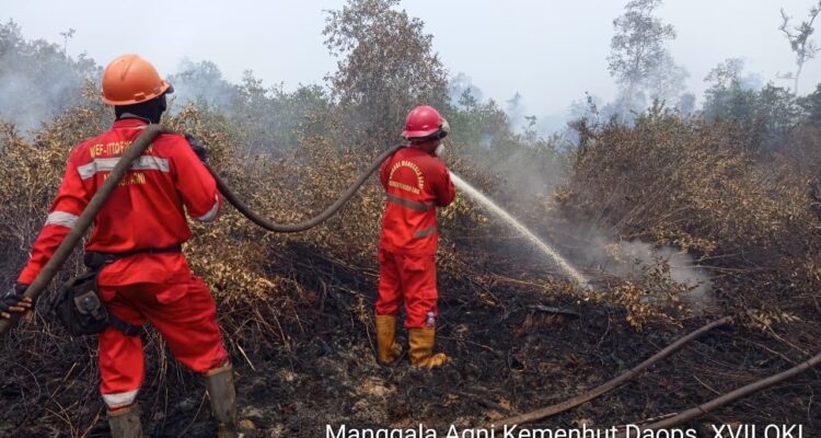 Para petugas area Tim 1 Manggala Agni sedang memadamkan api di kawasan operasi DAm Talang Rimba Cengal OKI (Dok. Humas Manggala Agni Sumatera / Seputarsumatera.com)